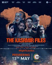 Постер Кашмирские файлы